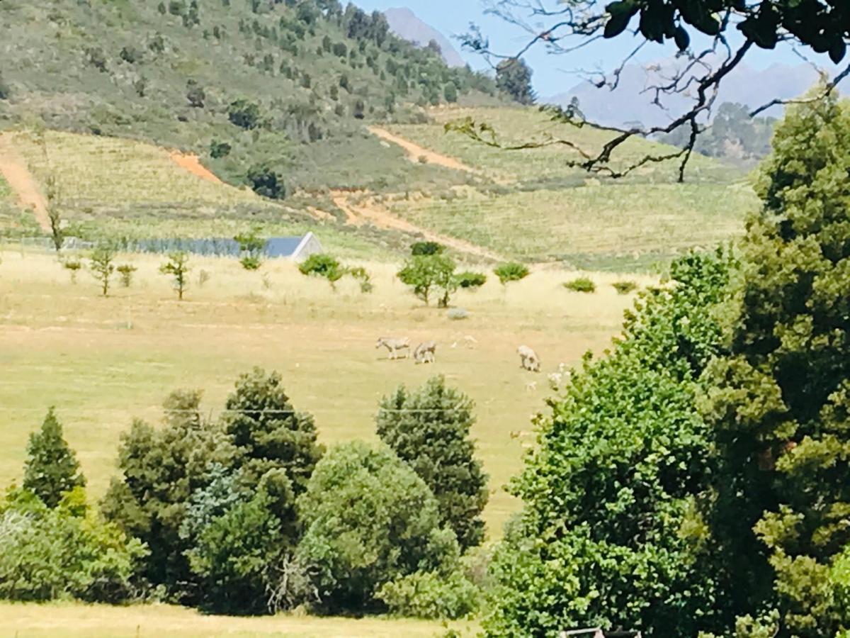 Winelands Guest Room Stellenbosch Luaran gambar
