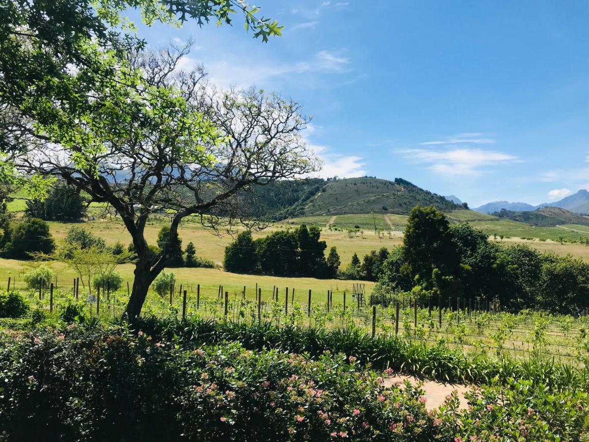 Winelands Guest Room Stellenbosch Luaran gambar